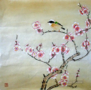  plum Art - bird on plum blossom